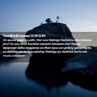 Picture 02 - Taariikhdii Kowaad 22:18 SOM - Oo wuxuu iyagii ku yidhi, War sow Rabbiga - Bible Verse Picture