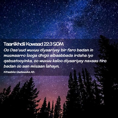 Picture 02 - Taariikhdii Kowaad 22:3 SOM - Oo Daa'uud wuxuu diyaariyey bir faro badan in - Bible Verse Picture