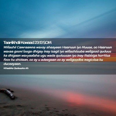 Picture 02 - Taariikhdii Kowaad 23:13 SOM - Wiilashii Camraamna waxay ahaayeen Haaruun iyo - Bible Verse Picture