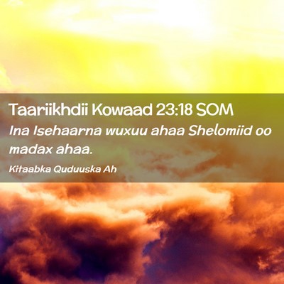 Picture 02 - Taariikhdii Kowaad 23:18 SOM - Ina Isehaarna wuxuu ahaa Shelomiid oo madax - Bible Verse Picture