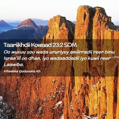 Picture 02 - Taariikhdii Kowaad 23:2 SOM - Oo wuxuu soo wada ururiyey amiirradii reer binu - Bible Verse Picture