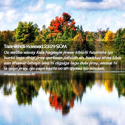 Picture 02 - Taariikhdii Kowaad 23:29 SOM - Oo weliba waxay kala hagaajin jireen kibistii - Bible Verse Picture