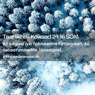 Picture 02 - Taariikhdii Kowaad 24:16 SOM - kii sagaal iyo tobnaadna Fetaxyaah, kii - Bible Verse Picture
