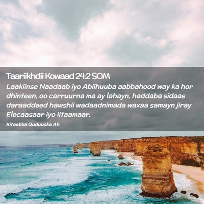 Picture 02 - Taariikhdii Kowaad 24:2 SOM - Laakiinse Naadaab iyo Abiihuuba aabbahood way ka - Bible Verse Picture