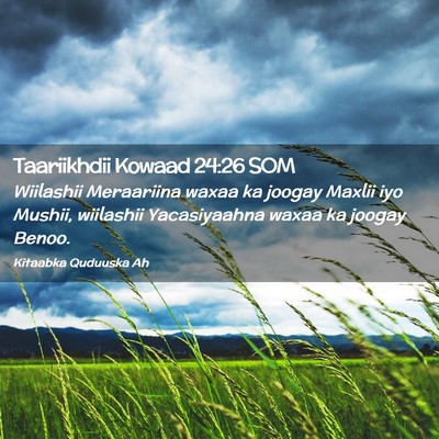 Picture 02 - Taariikhdii Kowaad 24:26 SOM - Wiilashii Meraariina waxaa ka joogay Maxlii iyo - Bible Verse Picture