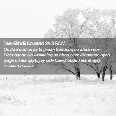 Picture 02 - Taariikhdii Kowaad 24:3 SOM - Oo Daa'uud oo ay la jiraan Saadooq oo ahaa reer - Bible Verse Picture