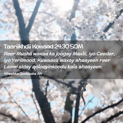 Picture 02 - Taariikhdii Kowaad 24:30 SOM - Reer Mushii waxaa ka joogay Maxlii, iyo Ceeder, - Bible Verse Picture