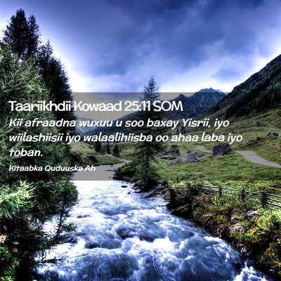 Picture 02 - Taariikhdii Kowaad 25:11 SOM - Kii afraadna wuxuu u soo baxay Yisrii, iyo - Bible Verse Picture