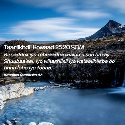 Picture 02 - Taariikhdii Kowaad 25:20 SOM - Kii saddex iyo tobnaadna wuxuu u soo baxay - Bible Verse Picture