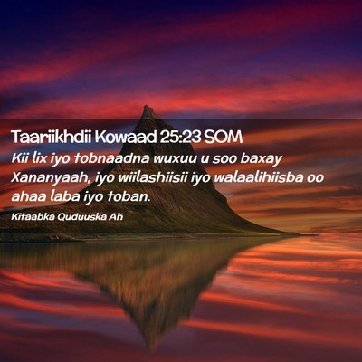 Picture 02 - Taariikhdii Kowaad 25:23 SOM - Kii lix iyo tobnaadna wuxuu u soo baxay - Bible Verse Picture