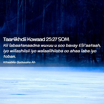 Picture 02 - Taariikhdii Kowaad 25:27 SOM - Kii labaatanaadna wuxuu u soo baxay Elii'aataah, - Bible Verse Picture