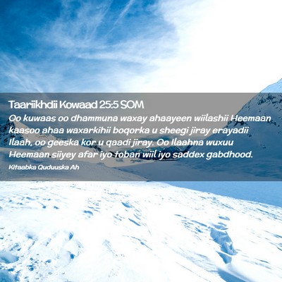 Picture 02 - Taariikhdii Kowaad 25:5 SOM - Oo kuwaas oo dhammuna waxay ahaayeen wiilashii - Bible Verse Picture