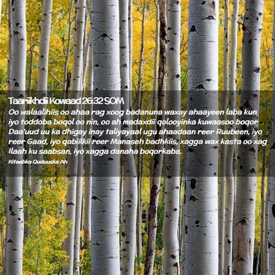 Picture 02 - Taariikhdii Kowaad 26:32 SOM - Oo walaalihiis oo ahaa rag xoog badanuna waxay - Bible Verse Picture
