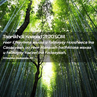Picture 02 - Taariikhdii Kowaad 27:20 SOM - reer Efrayimna waxaa u talinayay Hoosheeca ina - Bible Verse Picture