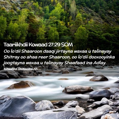 Picture 02 - Taariikhdii Kowaad 27:29 SOM - Oo lo'dii Shaaroon daaqi jirtayna waxaa u - Bible Verse Picture
