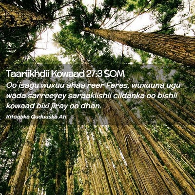 Picture 02 - Taariikhdii Kowaad 27:3 SOM - Oo isagu wuxuu ahaa reer Feres, wuxuuna ugu wada - Bible Verse Picture
