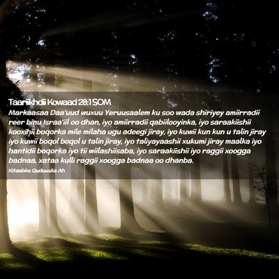 Picture 02 - Taariikhdii Kowaad 28:1 SOM - Markaasaa Daa'uud wuxuu Yeruusaalem ku soo wada - Bible Verse Picture