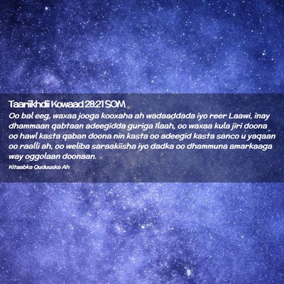 Picture 02 - Taariikhdii Kowaad 28:21 SOM - Oo bal eeg, waxaa jooga kooxaha ah wadaaddada iyo - Bible Verse Picture