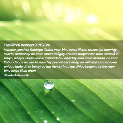 Picture 02 - Taariikhdii Kowaad 28:4 SOM - Habase yeeshee Rabbiga Ilaaha reer binu Israa'iil - Bible Verse Picture
