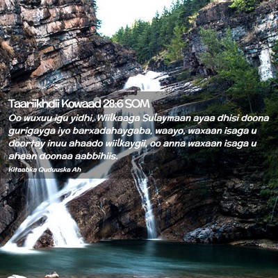 Picture 02 - Taariikhdii Kowaad 28:6 SOM - Oo wuxuu igu yidhi, Wiilkaaga Sulaymaan ayaa - Bible Verse Picture