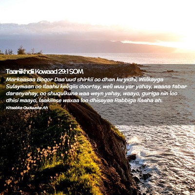Picture 02 - Taariikhdii Kowaad 29:1 SOM - Markaasaa Boqor Daa'uud shirkii oo dhan ku yidhi, - Bible Verse Picture