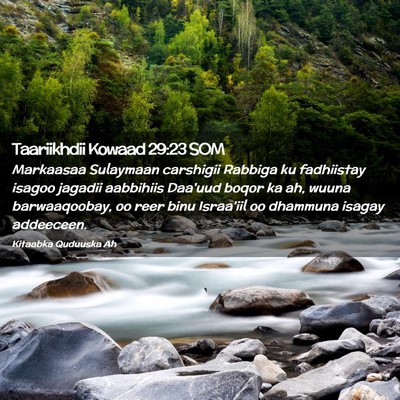 Picture 02 - Taariikhdii Kowaad 29:23 SOM - Markaasaa Sulaymaan carshigii Rabbiga ku - Bible Verse Picture