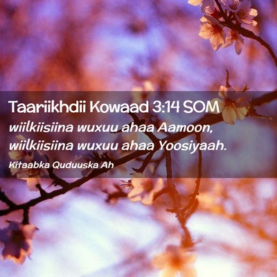 Picture 02 - Taariikhdii Kowaad 3:14 SOM - wiilkiisiina wuxuu ahaa Aamoon, wiilkiisiina - Bible Verse Picture
