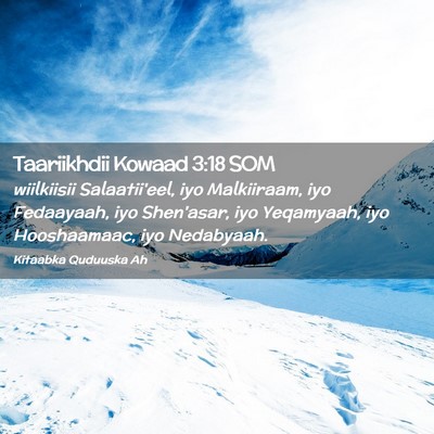 Picture 02 - Taariikhdii Kowaad 3:18 SOM - wiilkiisii Salaatii'eel, iyo Malkiiraam, iyo - Bible Verse Picture