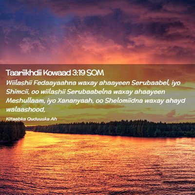 Picture 02 - Taariikhdii Kowaad 3:19 SOM - Wiilashii Fedaayaahna waxay ahaayeen Serubaabel, - Bible Verse Picture