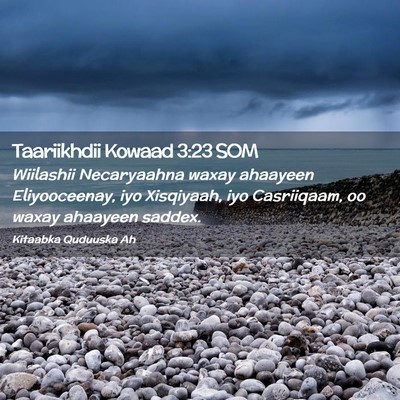 Picture 02 - Taariikhdii Kowaad 3:23 SOM - Wiilashii Necaryaahna waxay ahaayeen - Bible Verse Picture