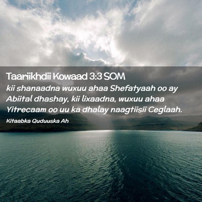 Picture 02 - Taariikhdii Kowaad 3:3 SOM - kii shanaadna wuxuu ahaa Shefatyaah oo ay Abiital - Bible Verse Picture