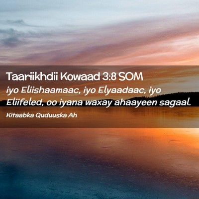 Picture 02 - Taariikhdii Kowaad 3:8 SOM - iyo Eliishaamaac, iyo Elyaadaac, iyo Eliifeled, - Bible Verse Picture