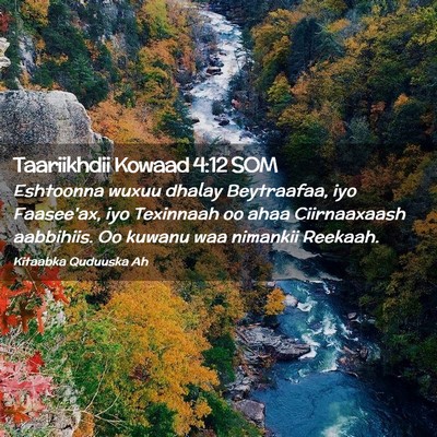 Picture 02 - Taariikhdii Kowaad 4:12 SOM - Eshtoonna wuxuu dhalay Beytraafaa, iyo Faasee'ax, - Bible Verse Picture
