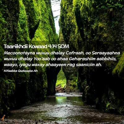 Picture 02 - Taariikhdii Kowaad 4:14 SOM - Mecoonotayna wuxuu dhalay Cofraah, oo Seraayaahna - Bible Verse Picture