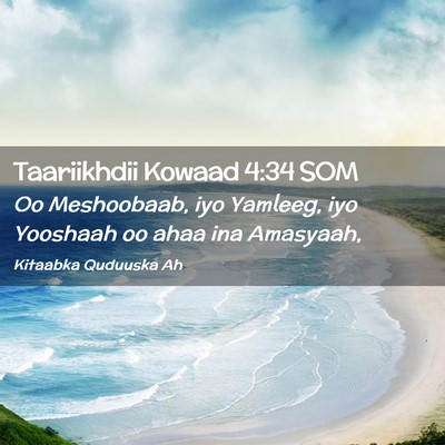Picture 02 - Taariikhdii Kowaad 4:34 SOM - Oo Meshoobaab, iyo Yamleeg, iyo Yooshaah oo ahaa - Bible Verse Picture