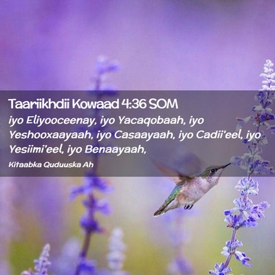 Picture 02 - Taariikhdii Kowaad 4:36 SOM - iyo Eliyooceenay, iyo Yacaqobaah, iyo - Bible Verse Picture