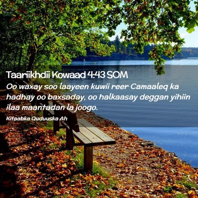 Picture 02 - Taariikhdii Kowaad 4:43 SOM - Oo waxay soo laayeen kuwii reer Camaaleq ka - Bible Verse Picture