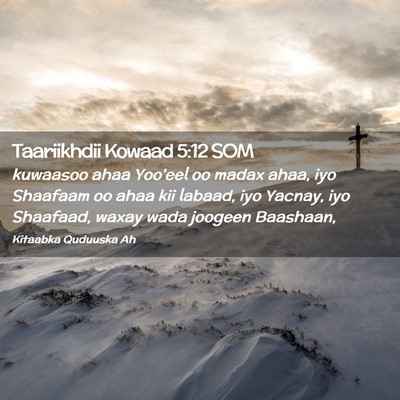 Picture 02 - Taariikhdii Kowaad 5:12 SOM - kuwaasoo ahaa Yoo'eel oo madax ahaa, iyo Shaafaam - Bible Verse Picture