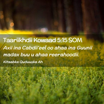 Picture 02 - Taariikhdii Kowaad 5:15 SOM - Axii ina Cabdii'eel oo ahaa ina Guunii madax buu - Bible Verse Picture