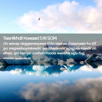 Picture 02 - Taariikhdii Kowaad 5:16 SOM - Oo waxay degganaayeen Gilecaad oo Baashaan ku - Bible Verse Picture