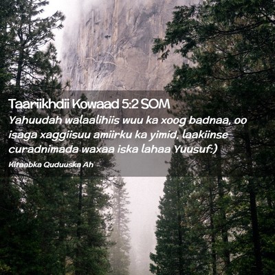 Picture 02 - Taariikhdii Kowaad 5:2 SOM - Yahuudah walaalihiis wuu ka xoog badnaa, oo isaga - Bible Verse Picture