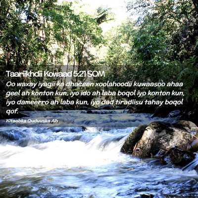 Picture 02 - Taariikhdii Kowaad 5:21 SOM - Oo waxay iyagii ka dhaceen xoolahoodii kuwaasoo - Bible Verse Picture