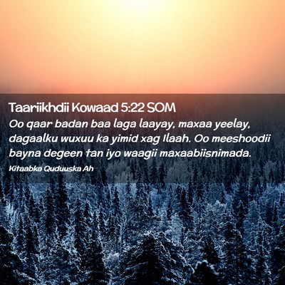 Picture 02 - Taariikhdii Kowaad 5:22 SOM - Oo qaar badan baa laga laayay, maxaa yeelay, - Bible Verse Picture