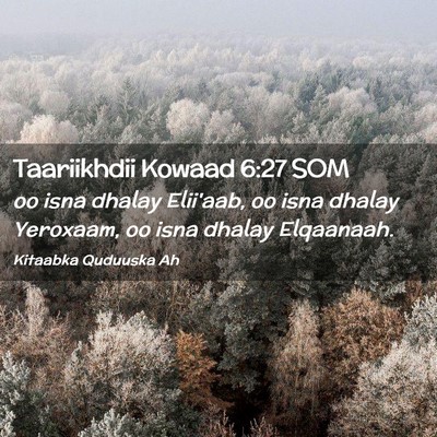 Picture 02 - Taariikhdii Kowaad 6:27 SOM - oo isna dhalay Elii'aab, oo isna dhalay Yeroxaam, - Bible Verse Picture