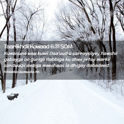 Picture 02 - Taariikhdii Kowaad 6:31 SOM - Kuwanuna waa kuwii Daa'uud u sarraysiiyey hawshii - Bible Verse Picture