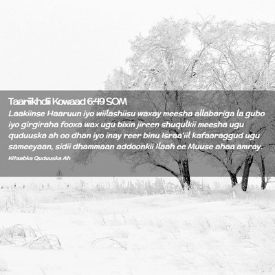 Picture 02 - Taariikhdii Kowaad 6:49 SOM - Laakiinse Haaruun iyo wiilashiisu waxay meesha - Bible Verse Picture