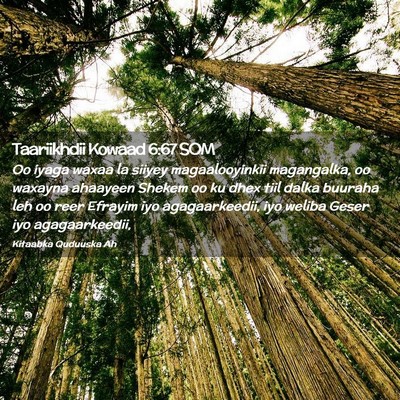 Picture 02 - Taariikhdii Kowaad 6:67 SOM - Oo iyaga waxaa la siiyey magaalooyinkii - Bible Verse Picture