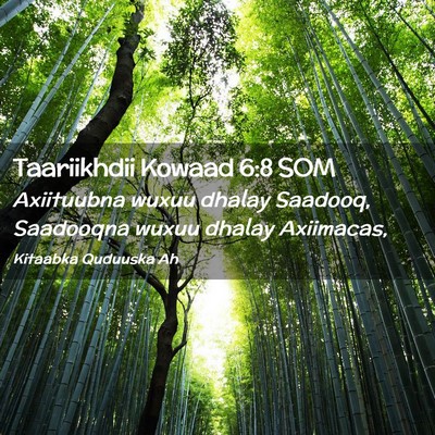 Picture 02 - Taariikhdii Kowaad 6:8 SOM - Axiituubna wuxuu dhalay Saadooq, Saadooqna wuxuu - Bible Verse Picture