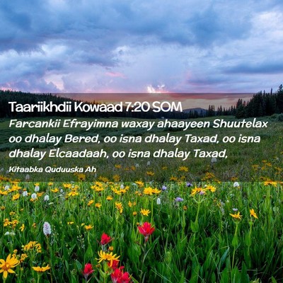 Picture 02 - Taariikhdii Kowaad 7:20 SOM - Farcankii Efrayimna waxay ahaayeen Shuutelax oo - Bible Verse Picture