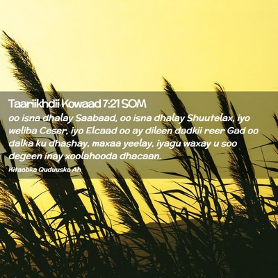 Picture 02 - Taariikhdii Kowaad 7:21 SOM - oo isna dhalay Saabaad, oo isna dhalay Shuutelax, - Bible Verse Picture